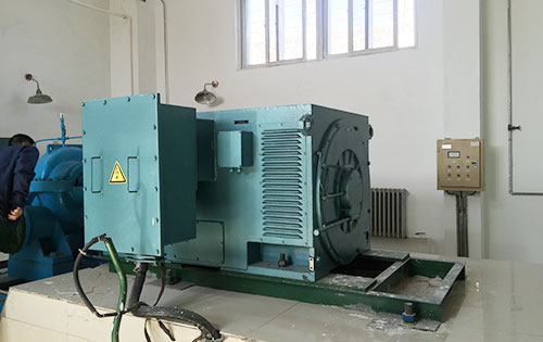 平武某水电站工程主水泵使用我公司高压电机