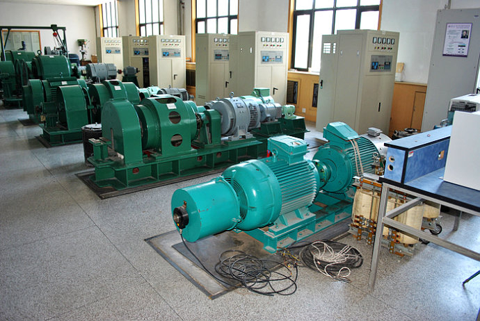 平武某热电厂使用我厂的YKK高压电机提供动力